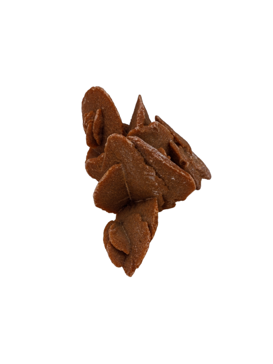 Desert rose: property, meaning and uses