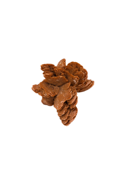 Désert Rose: propriété, signification et usage