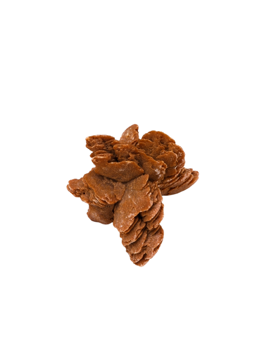 Desert rose: property, meaning and uses