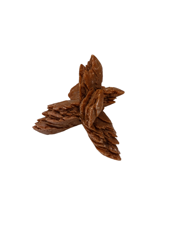 Desert rose: property, meaning and uses