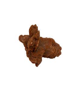 Desert rose: property, meaning and uses