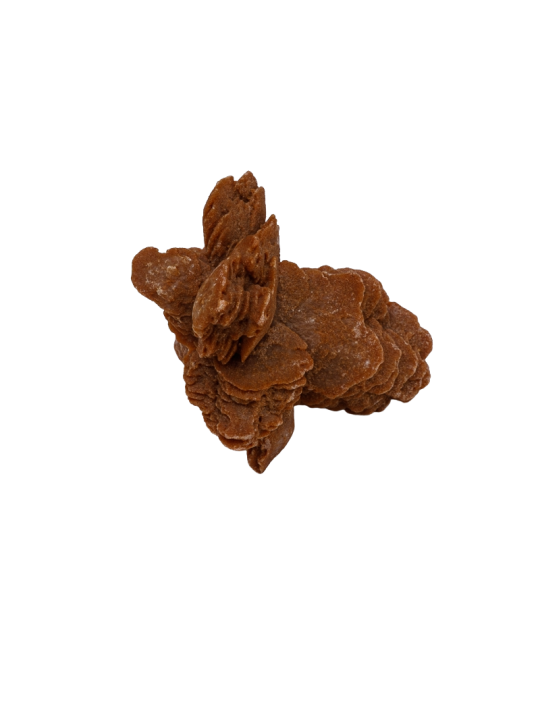 Desert rose: property, meaning and uses