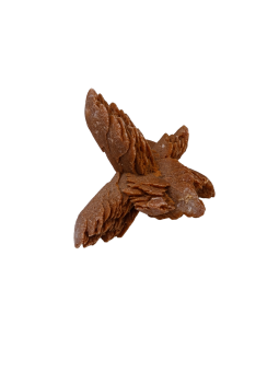 Desert rose: property, meaning and uses