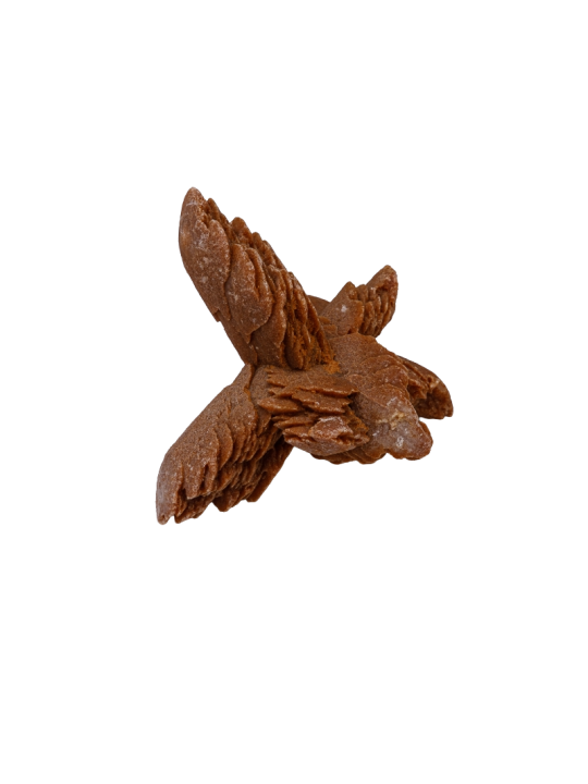 Desierto ROSE: propiedad, significado y usos