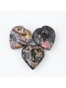 Fossil crystal: a fascinating rarity of nature
