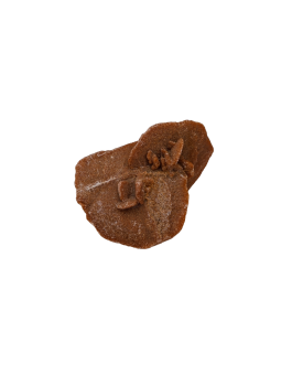 Desierto ROSE: propiedad, significado y usos