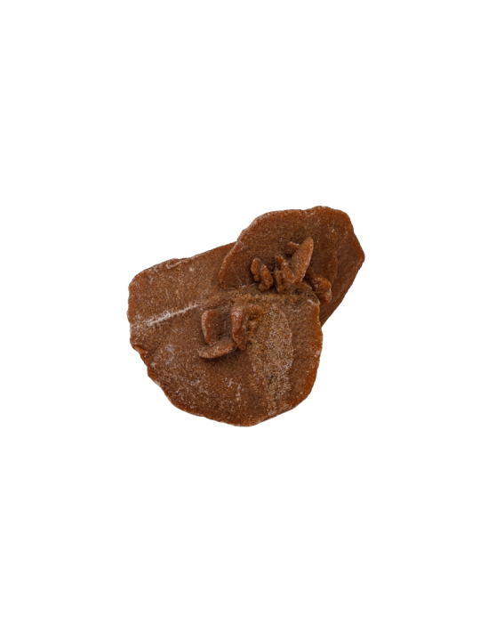 Desert rose: property, meaning and uses