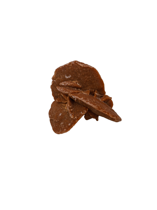 Desert rose: property, meaning and uses