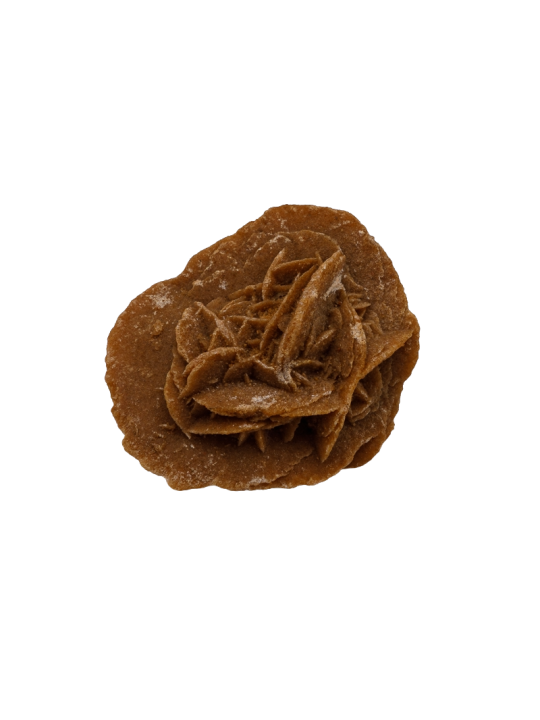 Desert rose: property, meaning and uses