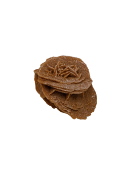 Desert rose: property, meaning and uses