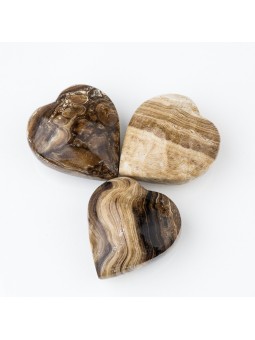 Aragonit: Eigenschaften, Vorteile und Verwendungen