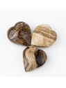 Aragonite: properties, benefits and uses