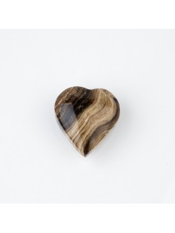 Aragonit: Eigenschaften, Vorteile und Verwendungen