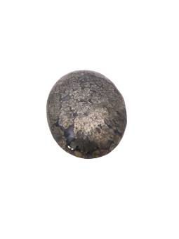 Agate Marcasite Palmstone