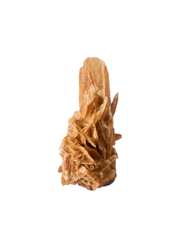 SELENITE Ambra Cathedral