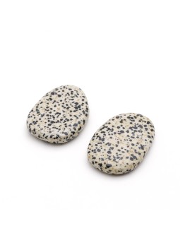 Descubre el Dalamata Jasper