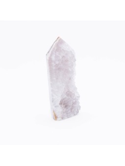 Discover the Agate Towers Sakura