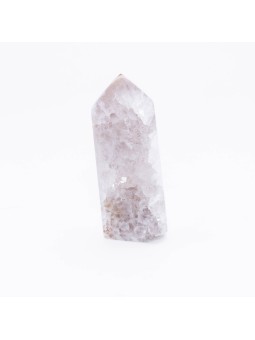 Discover the Agate Towers Sakura